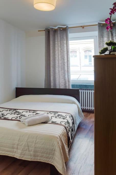 Dlouha Apartment 2Bd 布拉格 外观 照片