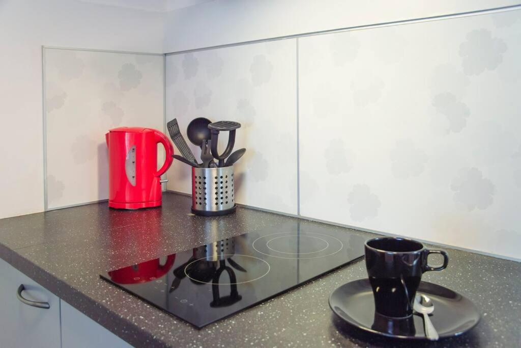 Dlouha Apartment 2Bd 布拉格 外观 照片